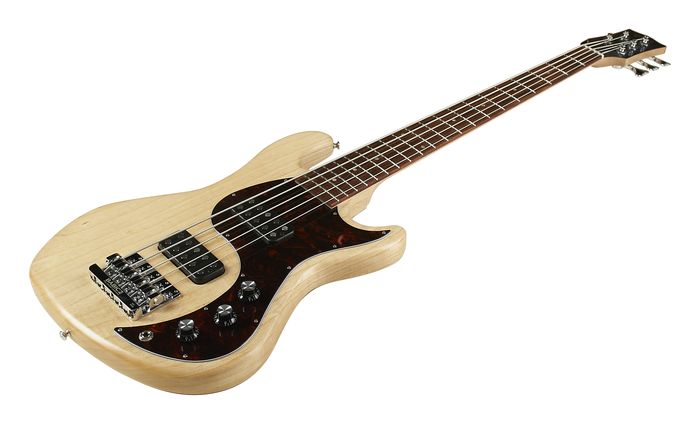 Gibson-EB-5-Bass