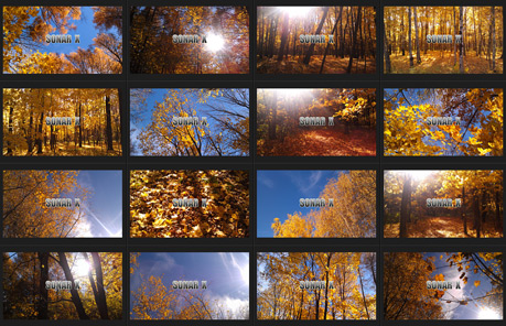 SonarX-Wallpapers-Autumn